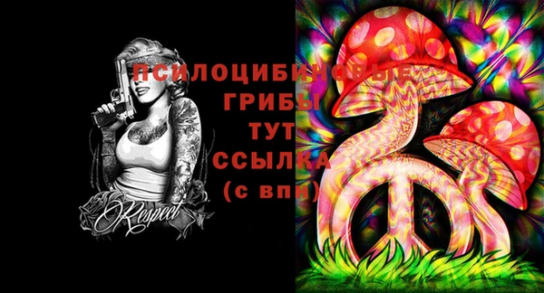 амфетамин Белокуриха