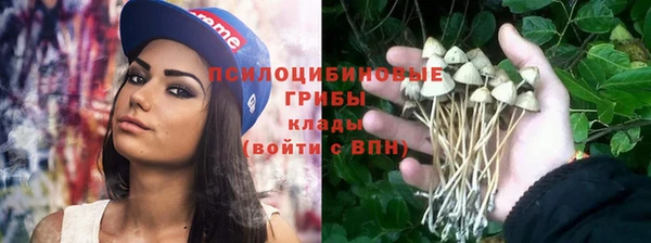 ПСИЛОЦИБИНОВЫЕ ГРИБЫ Белоозёрский