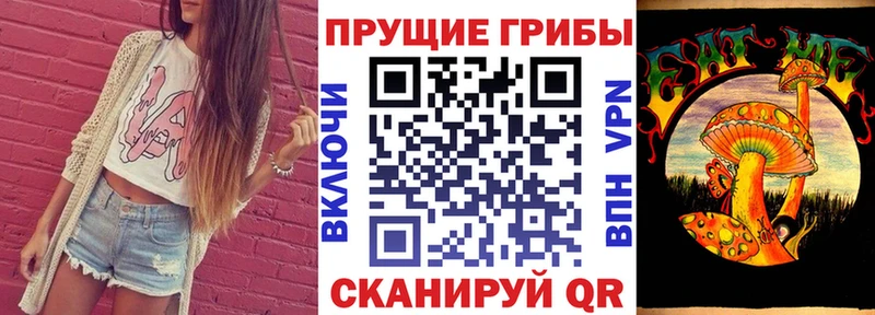KRAKEN вход  Златоуст  Псилоцибиновые грибы GOLDEN TEACHER  дарнет шоп 
